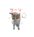 ねこにこばん part riku（個別スタンプ：12）