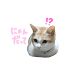 ねこにこばん part riku（個別スタンプ：14）