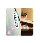 二宮さんちの子（個別スタンプ：1）