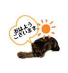二宮さんちの子（個別スタンプ：2）