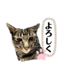 二宮さんちの子（個別スタンプ：5）