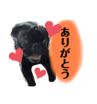 二宮さんちの子（個別スタンプ：7）