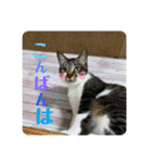 二宮さんちの子（個別スタンプ：8）