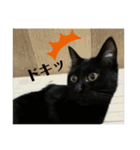 二宮さんちの子（個別スタンプ：10）