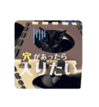 二宮さんちの子（個別スタンプ：12）
