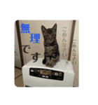 二宮さんちの子（個別スタンプ：14）
