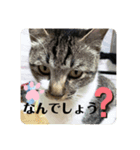 二宮さんちの子（個別スタンプ：15）
