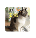 二宮さんちの子（個別スタンプ：16）