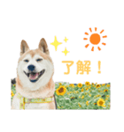 あいちゃんのスタンプ4（個別スタンプ：1）