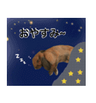 マロンとリリーのスタンプ（個別スタンプ：4）