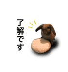 マロンとリリーのスタンプ（個別スタンプ：13）