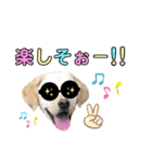 ラブラドール♡ララ♡④（個別スタンプ：17）