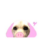 ラブラドール♡ララ♡④（個別スタンプ：39）