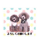 ひなた＆むさしののスタンプ（個別スタンプ：9）