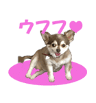 ジュローさん（個別スタンプ：3）