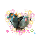 コリすけ＆リラまる2（個別スタンプ：2）