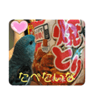 コリすけ＆リラまる2（個別スタンプ：18）