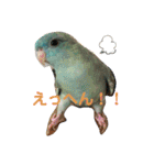 コリすけ＆リラまる2（個別スタンプ：32）