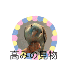 コリすけ＆リラまる2（個別スタンプ：34）
