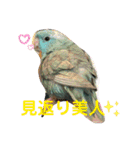 コリすけ＆リラまる2（個別スタンプ：38）