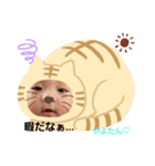 やよたん2❤（個別スタンプ：5）