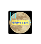 満月好きのための日常会話（個別スタンプ：15）