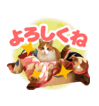 トムのにちじょう1（個別スタンプ：1）
