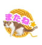 トムのにちじょう1（個別スタンプ：11）