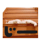 トムのにちじょう1（個別スタンプ：13）