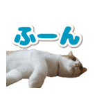 トムのにちじょう1（個別スタンプ：23）