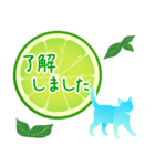 【敬語】柑橘系猫（個別スタンプ：1）