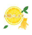【敬語】柑橘系猫（個別スタンプ：3）