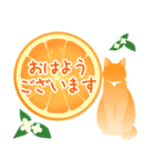 【敬語】柑橘系猫（個別スタンプ：5）
