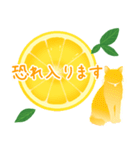 【敬語】柑橘系猫（個別スタンプ：9）