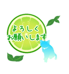 【敬語】柑橘系猫（個別スタンプ：10）