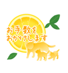 【敬語】柑橘系猫（個別スタンプ：11）