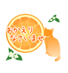【敬語】柑橘系猫（個別スタンプ：14）