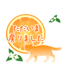 【敬語】柑橘系猫（個別スタンプ：16）