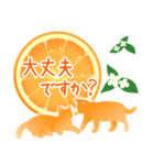 【敬語】柑橘系猫（個別スタンプ：17）