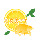 【敬語】柑橘系猫（個別スタンプ：18）