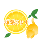 【敬語】柑橘系猫（個別スタンプ：23）