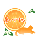 【敬語】柑橘系猫（個別スタンプ：29）