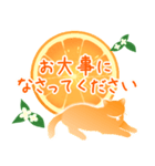 【敬語】柑橘系猫（個別スタンプ：32）