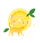 【敬語】柑橘系猫（個別スタンプ：33）