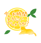 【敬語】柑橘系猫（個別スタンプ：36）