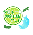 【敬語】柑橘系猫（個別スタンプ：38）