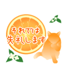 【敬語】柑橘系猫（個別スタンプ：39）
