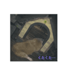 可愛いうちのサラ（個別スタンプ：5）
