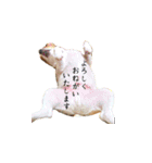 関戸さん家のジェットちん（個別スタンプ：5）