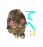 愛うさぎ らぶちゃんスタンプvol.3（個別スタンプ：4）